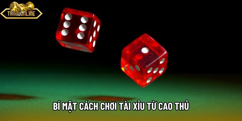 Bí mật cách chơi tài xỉu từ cao thủ Bí mật cách chơi tài xỉu từ cao thủ