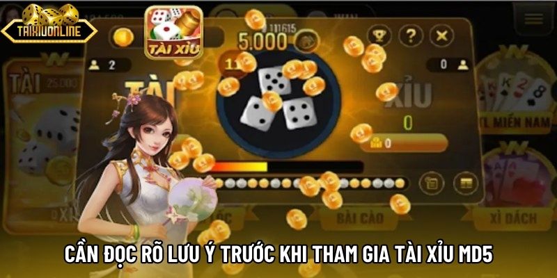 Cần đọc rõ lưu ý trước khi tham gia tài xỉu MD5