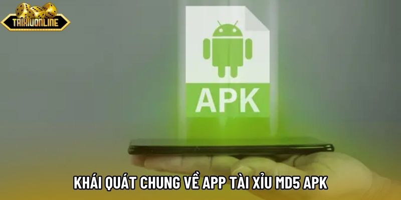 Khái quát chung về app tài xỉu md5 APK Khái quát chung về app tài xỉu md5 APK