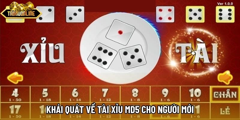 Khái quát về tài xỉu md5 cho người mới