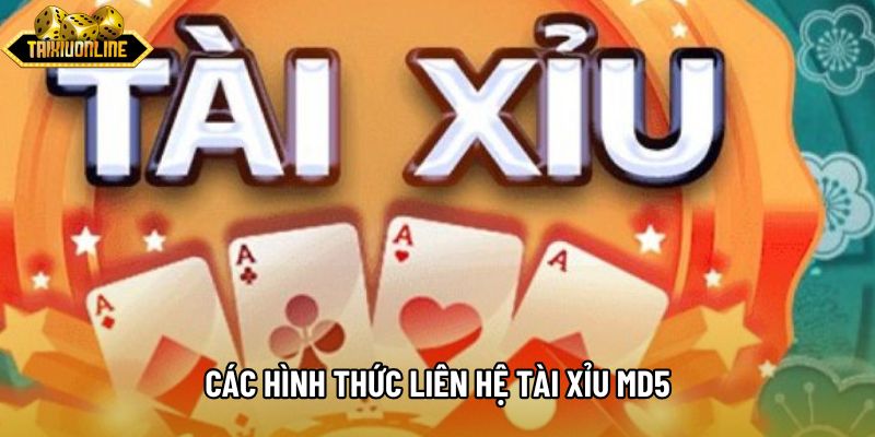 Các hình thức liên hệ tài xỉu md5 Các hình thức liên hệ tài xỉu md5