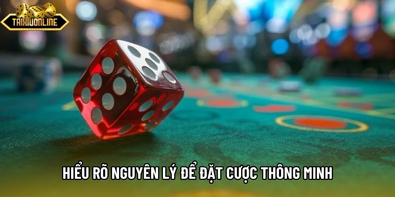 Hiểu rõ nguyên lý để đặt cược thông minh