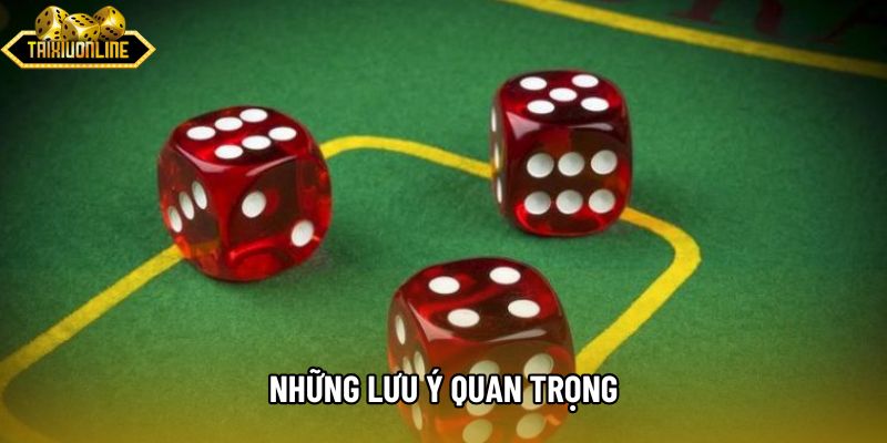 Những lưu ý quan trọng
