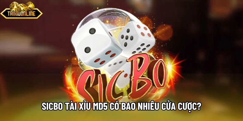 Sicbo Tài xỉu md5 có bao nhiêu cửa cược?