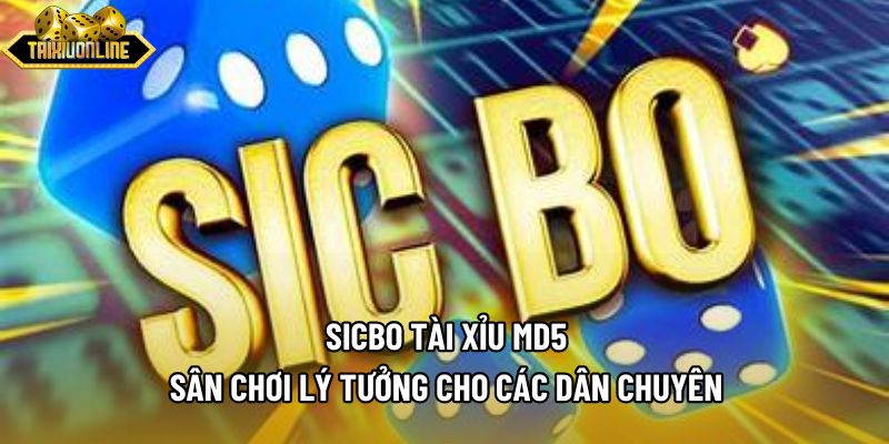 Sicbo Tài Xỉu Md5 - Sân Chơi Lý Tưởng Cho Các Dân Chuyên