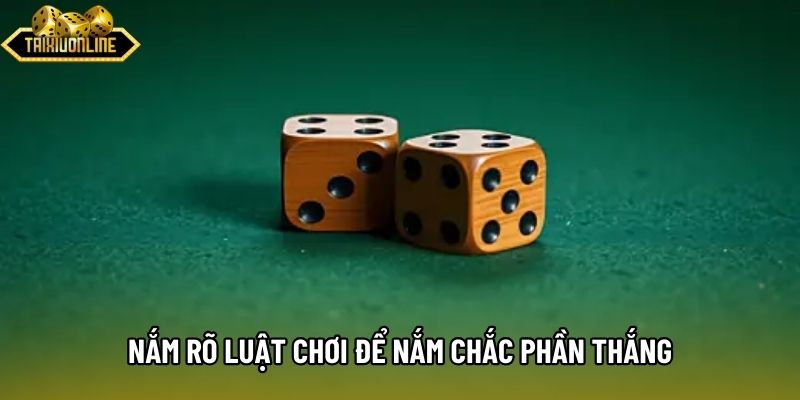 Nắm rõ luật chơi để nắm chắc phần thắng Nắm rõ luật chơi để nắm chắc phần thắng