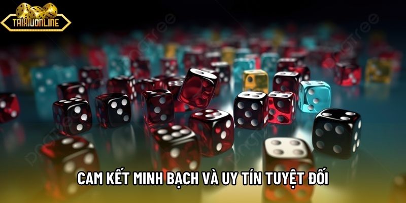 Cam kết minh bạch và uy tín tuyệt đối Cam kết minh bạch và uy tín tuyệt đối